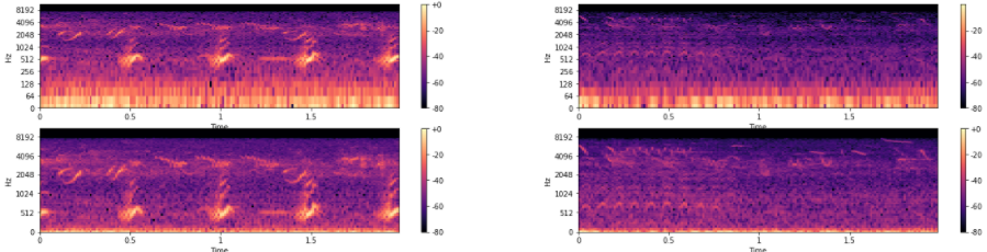 Spektrogrammiesitys äänen visualisoinnista: Viitasammakko äänessä vasemmalla sekä oikealla "Normaaliääni", jolloin viitasammakko ei ole äänessä.