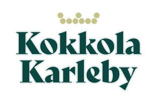 Kokkolan kaupunki